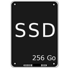 Disque dur SSD 256 Go
