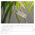 Zebra 8000T Extra Tuff 180 Tag - 25 mm x 229 mm - étiquettes polyoléfine blanc "pépinière"