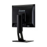 Moniteur iiyama ProLite B17