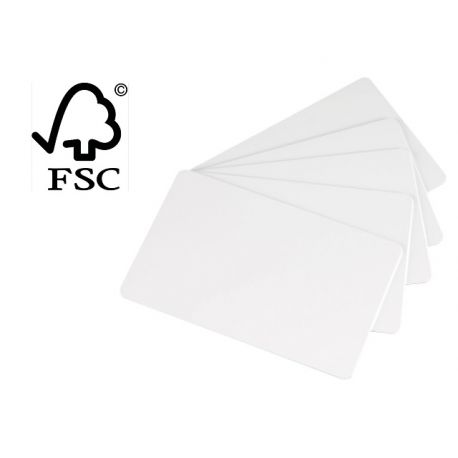 Cartes en papier Evolis C2501