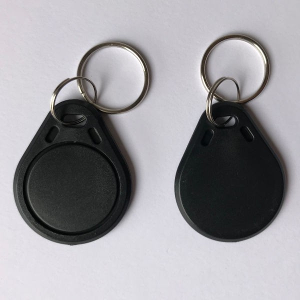 Lot De 10 Clés RFID EM4100/EM4200 125kHz Pour Système De Contrôle D'accès - Porte-clés Et étiquettes De Proximité