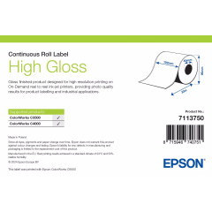 Rouleau continu d'étiquettes synthétiques Epson - 102 mm x 33 mètres